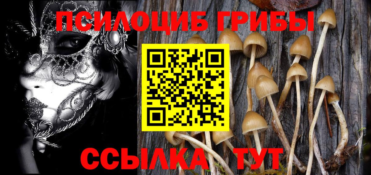 наркошоп  Вход с VPN  Иваново  Псилоцибиновые грибы ЛСД 