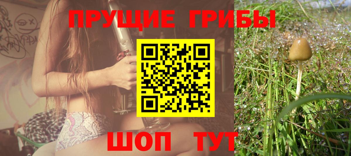Галлюциногенные грибы ЛСД Иваново